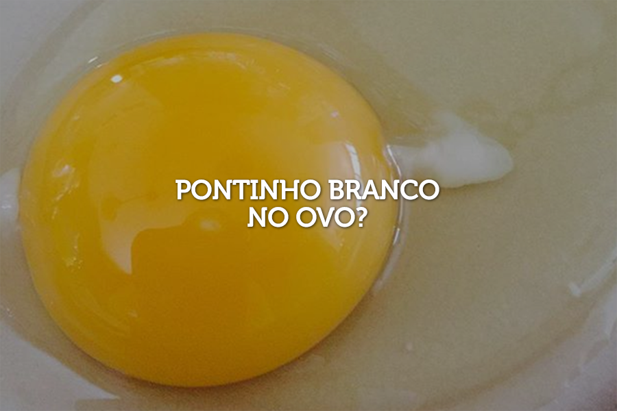 O Que Tem No Meio Do Ovo EducaBrilha